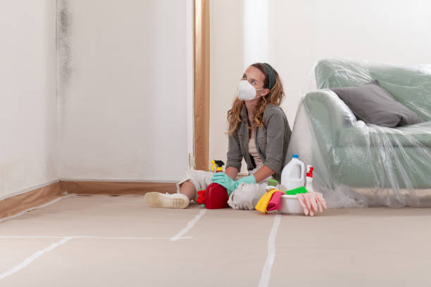 Reliable Black Mold Removal contractor in New Milford, NJ by WQB Mold Removal